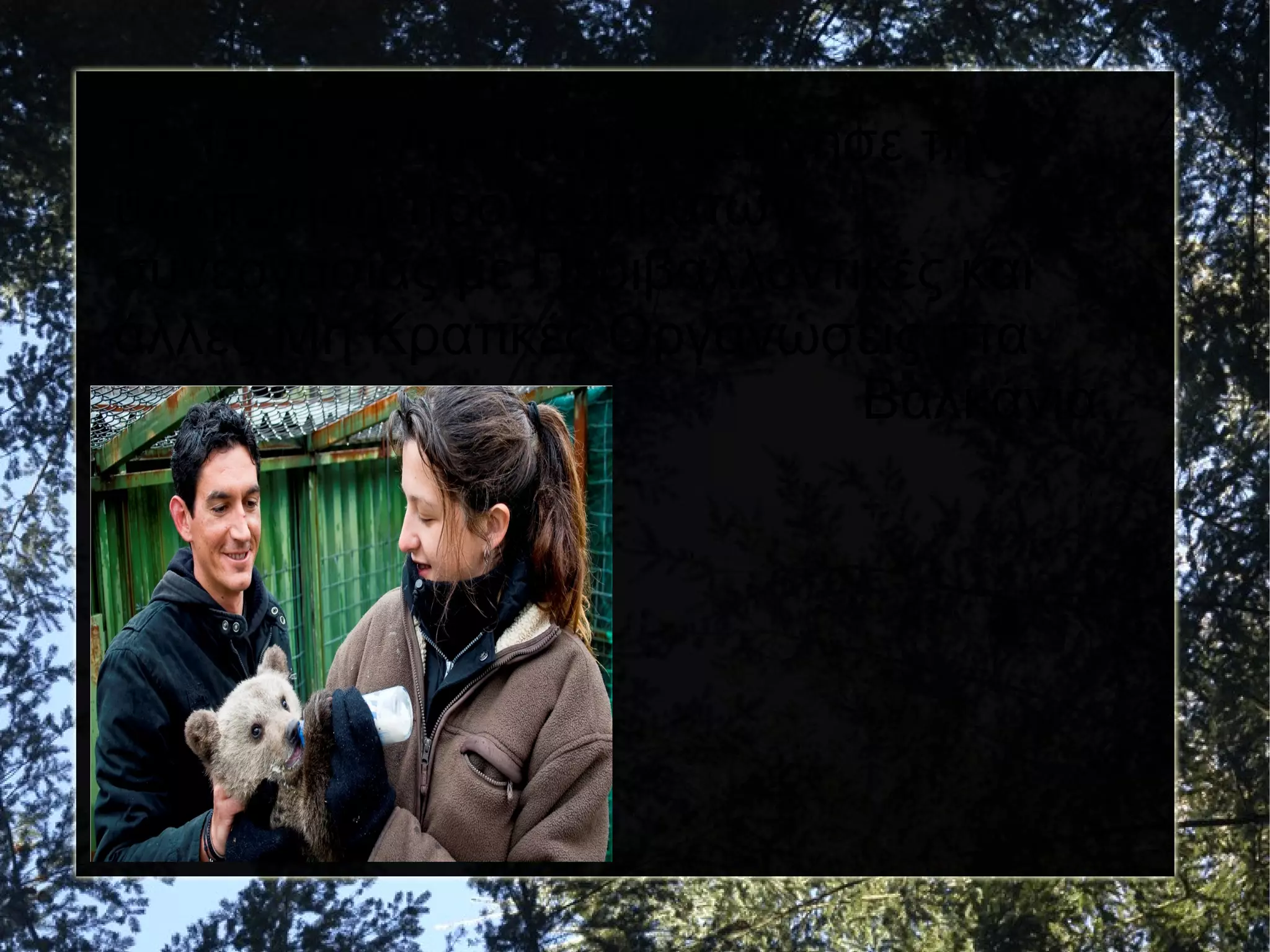 Το 1995, ο Αρκτούρος ξεκίνησε την
υλοποίηση προγραμμάτων
συνεργασίας με Περιβαλλοντικές και
άλλες Μη Κρατικές Οργανώσεις στα
Βαλκάνια.

 