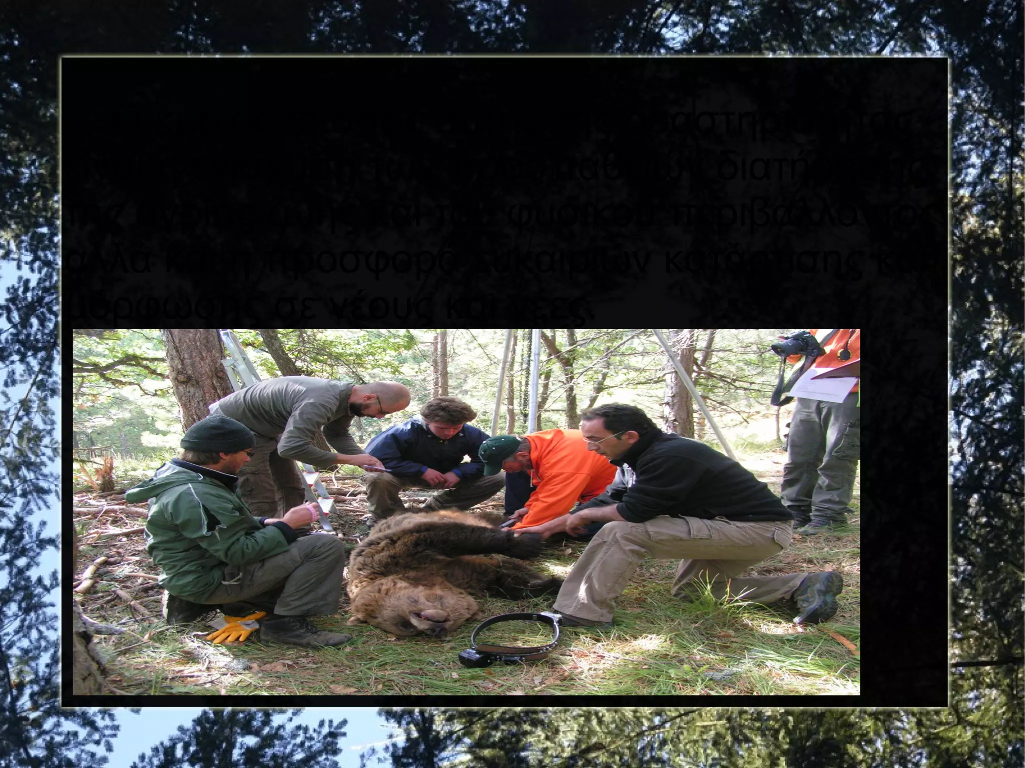 Ο κύριος σκοπός αυτής της δραστηριότητας
είναι η ενίσχυση των προσπαθειών διατήρησης
της άγριας ζωής και του φυσικού περιβάλλοντος
αλλά και η προσφορά ευκαιριών κατάρτισης και
μόρφωσης σε νέους και νέες.

 