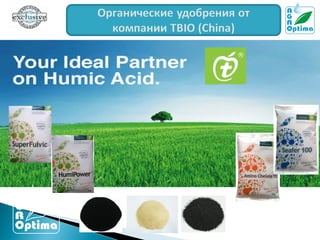 волинь крапельне
