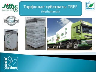 волинь крапельне