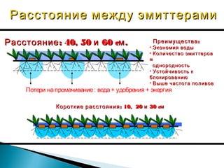 Расстояние между эмиттерами
Расстояние : 40, 50 и 60 cм .

Преимущества :

• Экономия воды
• Количество эмиттеров
=
однородность
• Устойчивость к
блокированию
• Выше частота поливов

Потери на промачивание : вода + удобрения + энергия
Короткие расстояния : 10, 20 и 30 cм

 