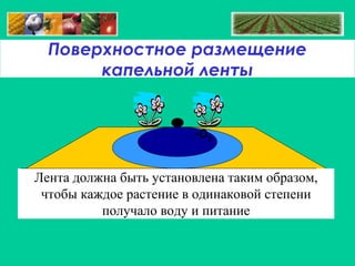 Поверхностное размещение
капельной ленты

O2

Лента должна быть установлена таким образом,
чтобы каждое растение в одинаковой степени
получало воду и питание

 