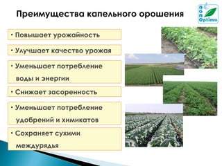 Преимущества капельного орошения
• Повышает
• Улучшает

урожайность

качество урожая

• Уменьшает

потребление

воды и энергии
• Снижает

засоренность

• Уменьшает

потребление

удобрений и химикатов
• Сохраняет

сухими

междурядья

 