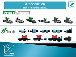 волинь крапельне