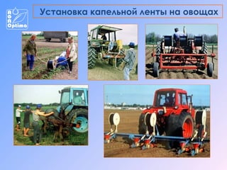 Установка капельной ленты на овощах

 