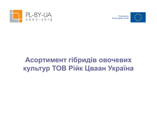 Асортимент гібридів овочевих
культур ТОВ Рійк Цваан Україна

 