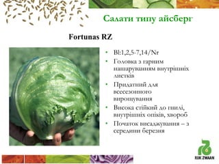 Салати типу айсберг
Fortunas RZ
• Bl:1,2,5-7,14/Nr
• Головка з гарним
нашаруванням внутрішніх
листків
• Придатний для
всесезонного
вирощування
• Висока стійкий до гнилі,
внутрішніх опіків, хвороб
• Початок висаджування – з
середини березня

 