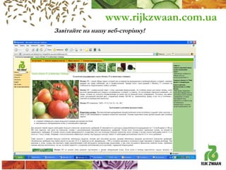 www.rijkzwaan.com.ua
Завітайте на нашу веб-сторінку!

 