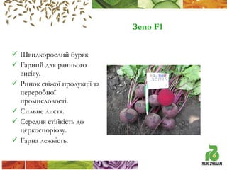 Зепо F1
 Швидкорослий буряк.
 Гарний для раннього
висіву.
 Ринок свіжої продукції та
переробної
промисловості.
 Сильне листя.
 Середня стійкість до
церкоспоріозу.
 Гарна лежкість.

 