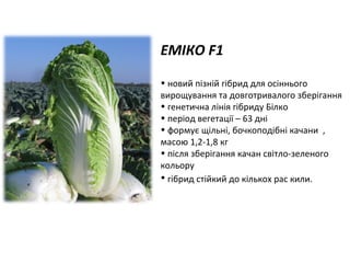 ЕМІКО F1
• новий пізній гібрид для осіннього
вирощування та довготривалого зберігання
• генетична лінія гібриду Білко
• період вегетації – 63 дні
• формує щільні, бочкоподібні качани ,
масою 1,2-1,8 кг
• після зберігання качан світло-зеленого
кольору
• гібрид стійкий до кількох рас кили.

 