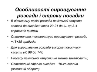 Особливості вирощування
розсади і строки посадки
• В літнньому посіві розсада пекінської капусти
готова до висадки через 20-21 день, це 3-4
справжніх листки
• Оптимальна температура вирощування розсади
+18+25 градусів;
• Для вирощування розсади використовується
касети від 96 до 144;
• Розсаду пекінської капусти не можна закалювати;
• Оптимальні строки висадки
(останній оборот)

10-25 серпня

 