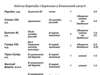Хімічна боротьба з бурянами у білокачаній капусті
Раундап, в.р.

Суцільної дії

осень

1

3-5

1

Однорічні
злакові
та
дводольні
.

3-4

1,52,0

Стомп 330,
к.е.

грунтовий

Бутізан 40,
к.е.

Після
висадки
розсади

В період
вегетації

2

Однорічні
злакові
та
дводольні

Галера 334,
в.р.

До 8
справжніх
листків
культури

В період
вегетації

1

Однорічні
дводольні

0,30,35

Тарга Супер,
к.е.

В залежності
від бурянів

В період
вегетації

1

злакові

1-2

В період
вегетації

1

злакові

1-2

Фюзілад
форте, м.в.е.

В залежності
від бурянів

В залежності

до висадки
розсади

 