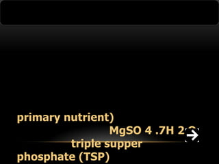 primary nutrient)
MgSO 4 .7H 2 O
triple supper
phosphate (TSP)

 