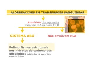 ALORREACÇÕES EM TRANSFUSÕES SANGUÍNEAS

Eritrócitos não expressam
moléculas HLA da classe I e II

SISTEMA ABO

Não envolvem HLA

Polimorfismos estruturais
nos hidratos de carbono dos
glicolípidos existentes na superfície
dos eritrócitos.

 