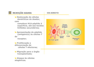 2

REJEIÇÃO AGUDA
Deslocação de células
dendríticas do doador,
com
complexo HLA-péptido à
superfície, até aos tecidos
linfóides secundários;
Apresentação do péptido
(antigénico) às células T
do
receptor;
Proliferação e
diferenciação de
células T efectoras;
Migração para o órgão
transplantado;
Ataque às células
alogénicas.

VIA DIRECTA

 