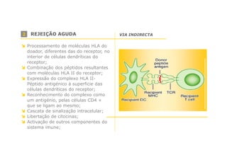 2

REJEIÇÃO AGUDA
Processamento de moléculas HLA do
doador, diferentes das do receptor, no
interior de células dendríticas do
receptor;
Combinação dos péptidos resultantes
com moléculas HLA II do receptor;
Expressão do complexo HLA IIPéptido antigénico à superficie das
células dendriticas do receptor;
Reconhecimento do complexo como
um antigénio, pelas células CD4 +
que se ligam ao mesmo;
Cascata de sinalização intracelular;
Libertação de citocinas;
Activação de outros componentes do
sistema imune;

VIA INDIRECTA

 