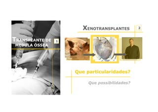 XENOTRANSPLANTES
TRANSPLANTE DE

1

MEDULA ÓSSEA

Que particularidades?
Que possibilidades?

2

 