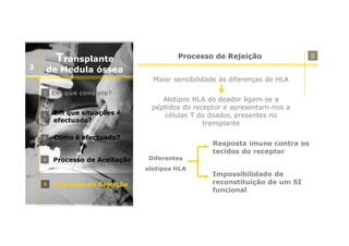 Transplante
2

Processo de Rejeição

de Medula óssea
Maior sensibilidade às diferenças de HLA
1

Em que consiste?

2

Em que situações é
efectuado?

3

Como é efectuado?

4

Processo de Aceitação

Alotipos HLA do doador ligam-se a
péptidos do receptor e apresentam-nos a
células T do doador, presentes no
transplante
Resposta imune contra os
tecidos do receptor
Diferentes
alotipos HLA

5

Processo de Rejeição

Impossibilidade de
reconstituição de um SI
funcional

5

 