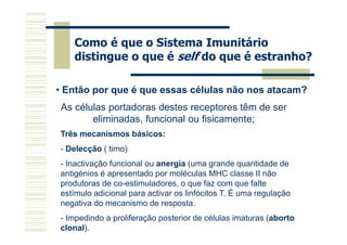 Como é que o Sistema Imunitário
distingue o que é self do que é estranho?
• Então por que é que essas células não nos atacam?
As células portadoras destes receptores têm de ser
eliminadas, funcional ou fisicamente;
Três mecanismos básicos:
- Delecção ( timo)
- Inactivação funcional ou anergia (uma grande quantidade de
antigénios é apresentado por moléculas MHC classe II não
produtoras de co-estimuladores, o que faz com que falte
estímulo adicional para activar os linfócitos T. É uma regulação
negativa do mecanismo de resposta.
- Impedindo a proliferação posterior de células imaturas (aborto
clonal).

 