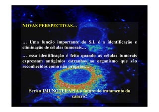 NOVAS PERSPECTIVAS…

… Uma função importante do S.I. é a identificação e
eliminação de células tumorais…
… essa identificação é feita quando as células tumorais
expressam antigénios estranhos ao organismo que são
reconhecidos como não próprios…

Será a IMUNOTERAPIA o futuro do tratamento do
cancro?

 