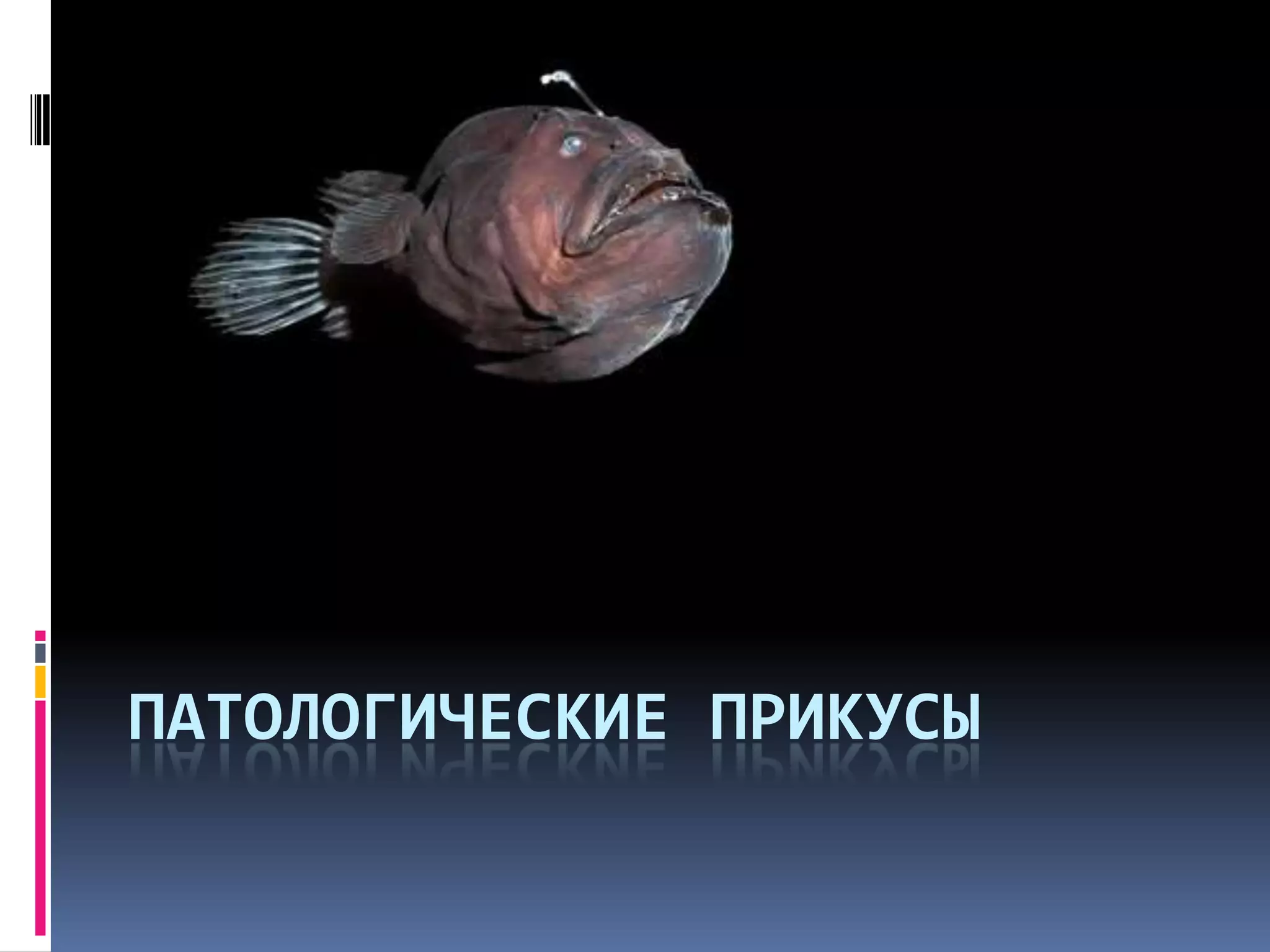 Патологические прикусы | PPT