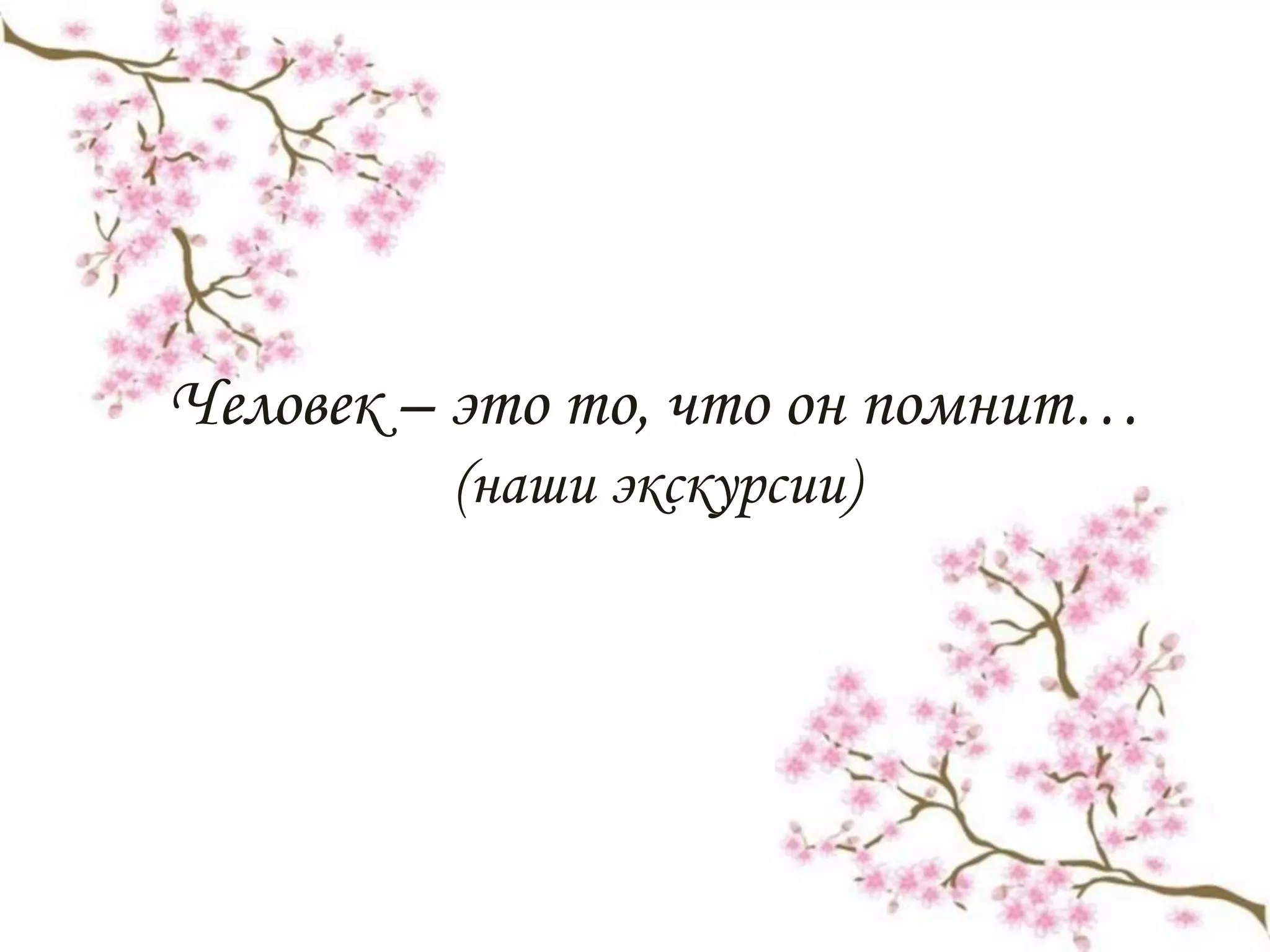 Человек – это то, что он помнит…
(наши экскурсии)