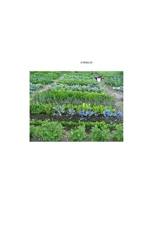 ภาคผนวก

 