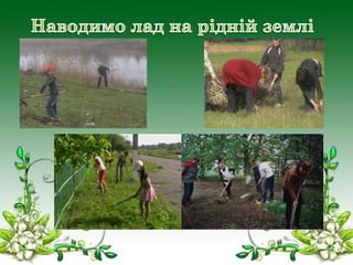 кз зеленогайський нвк