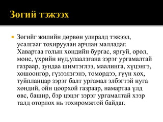 

Зөгийг жилийн дөрвөн улиралд тэжээл,
усалгааг тохируулан арчлан малладаг.
Хавартаа голын хөндийн бургас, яргуй, өрөл,
монс, үхрийн нүд,улаалзгана зэрэг ургамалтай
газраар, зундаа шимтэглээ, маалинга, хүцэнгэ,
хошоонгор, гүзээлзгэнэ, төмөрдээ, гүүн хөх,
туйпланцар зэрэг балт ургамал элбэгтэй нуга
хөндий, ойн цоорхой газраар, намартаа үлд
өвс, башир, бэр цэцэг зэрэг ургамалтай хээр
талд оторлох нь тохиромжтой байдаг.

 