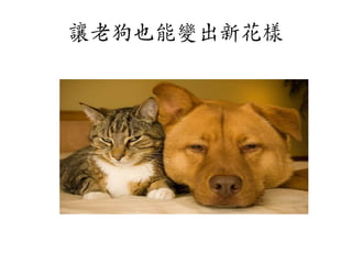 讓老狗也能變出新花樣

 