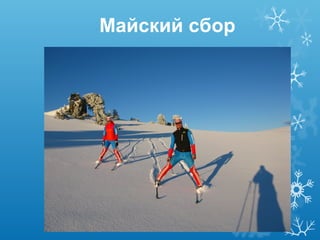 Майский сбор

 