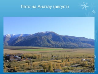 Лето на Анатау (август)

 