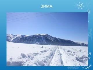ЗИМА

 
