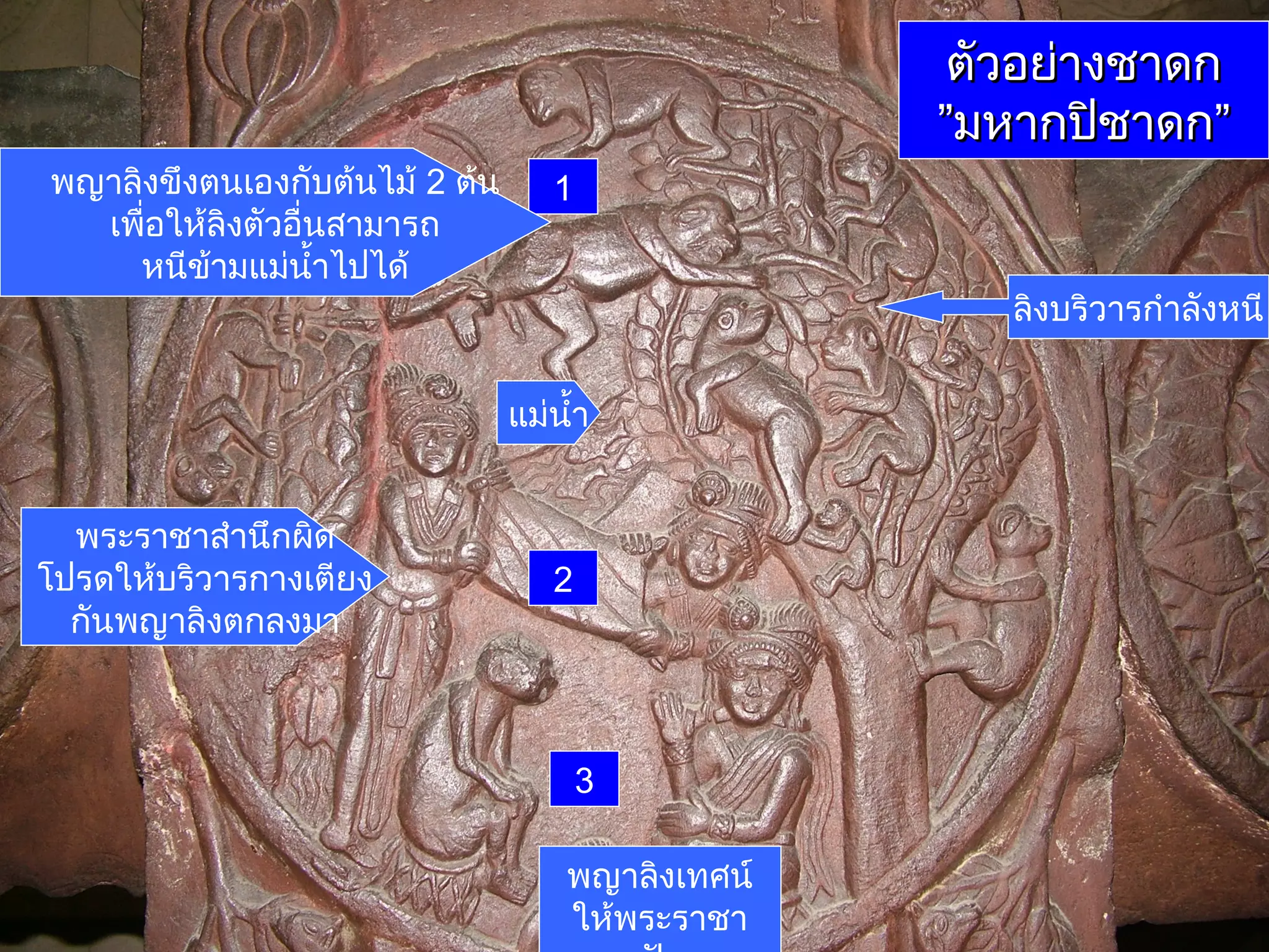 ตัวอย่างชาดก
”มหากปิชาดก”
พญาลิงขึงตนเองกับต้นไม้ 2 ต้น
เพื่อให้ลิงตัวอื่นสามารถ
หนีข้ามแม่นำ้าไปได้

1
ลิงบริวารกำาลังหนี
แม่นำ้า

พระราชาสำานึกผิด
โปรดให้บริวารกางเตียง
กันพญาลิงตกลงมา

2

3
พญาลิงเทศน์
ให้พระราชา

 