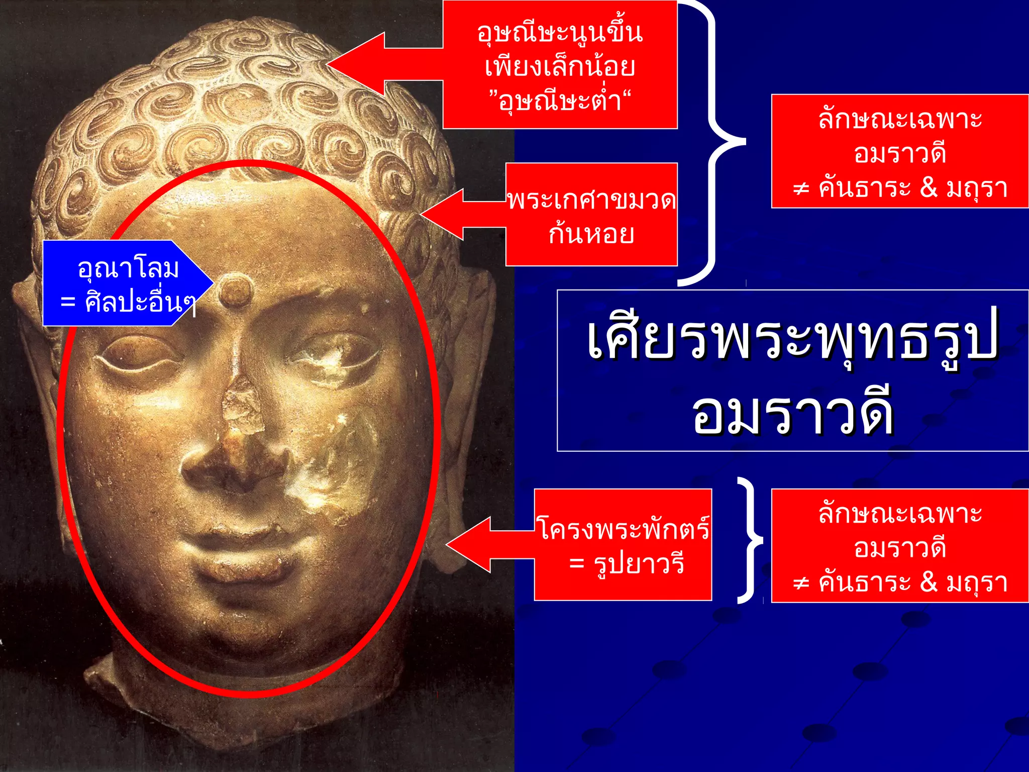 อุษณีษะนูนขึ้น
เพียงเล็กน้อย
”อุษณีษะตำ่า“

อุณาโลม
= ศิลปะอื่นๆ

พระเกศาขมวด
ก้นหอย

ลักษณะเฉพาะ
อมราวดี
≠ คันธาระ & มถุรา

เศียรพระพุทธรูป
อมราวดี
โครงพระพักตร์
= รูปยาวรี

ลักษณะเฉพาะ
อมราวดี
≠ คันธาระ & มถุรา

 