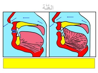 التجويد المصور للشيخ أيمن السويد