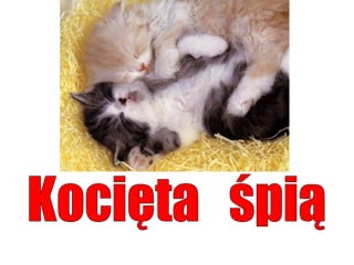 Język  polski. Część 3