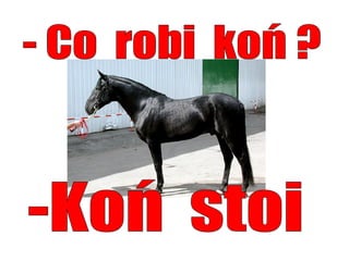 Język  polski. Część 3