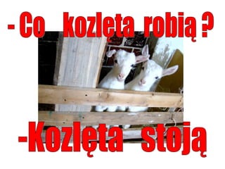 Język  polski. Część 3