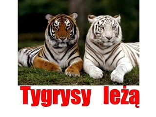 Język  polski. Część 3