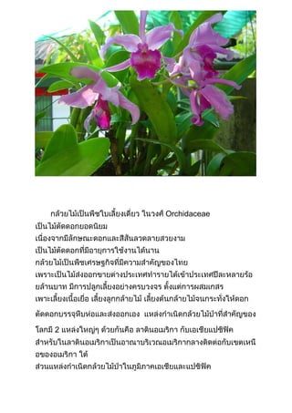 Orchidaceae

2

 