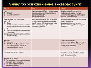 Нян | PPT