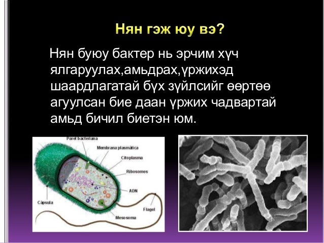 Нян