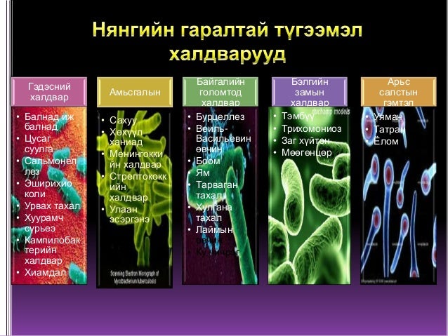 Нян