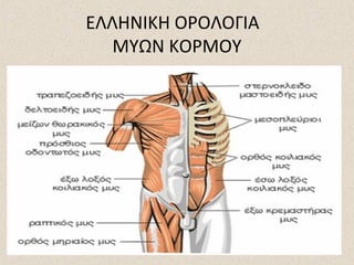 ΕΛΛΗΝΙΚΗ ΟΡΟΛΟΓΙΑ
ΜΥΩΝ ΚΟΡΜΟΥ

 