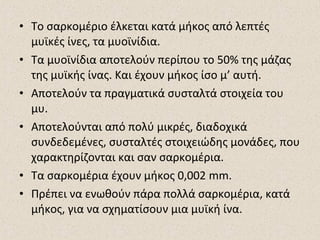 • Το σαρκομέριο έλκεται κατά μήκος από λεπτές
μυϊκές ίνες, τα μυοϊνίδια.
• Τα μυοϊνίδια αποτελούν περίπου το 50% της μάζας
της μυϊκής ίνας. Και έχουν μήκος ίσο μ’ αυτή.
• Αποτελούν τα πραγματικά συσταλτά στοιχεία του
μυ.
• Αποτελούνται από πολύ μικρές, διαδοχικά
συνδεδεμένες, συσταλτές στοιχειώδης μονάδες, που
χαρακτηρίζονται και σαν σαρκομέρια.
• Τα σαρκομέρια έχουν μήκος 0,002 mm.
• Πρέπει να ενωθούν πάρα πολλά σαρκομέρια, κατά
μήκος, για να σχηματίσουν μια μυϊκή ίνα.

 