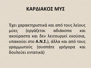 ΚΑΡΔΙΑΚΟΣ ΜΥΣ
Έχει χαρακτηριστικά και από τους λείους
μύες
(εργάζεται
αδιάκοπα
και
ακούραστα και δεν λειτουργεί εκούσια,
υπακούει στο Α.Ν.Σ.), άλλα και από τους
γραμμωτούς (συσπάτε γρήγορα και
δουλεύει εντατικά)

 