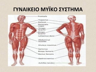 ΓΥΝΑΙΚΕΙΟ ΜΥΪΚΟ ΣΥΣΤΗΜΑ

 