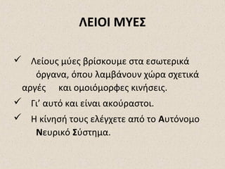 ΛΕΙΟΙ ΜΥΕΣ
 Λείους μύες βρίσκουμε στα εσωτερικά
όργανα, όπου λαμβάνουν χώρα σχετικά
αργές και ομοιόμορφες κινήσεις.
 Γι’ αυτό και είναι ακούραστοι.
 Η κίνησή τους ελέγχετε από το Αυτόνομο
Νευρικό Σύστημα.

 