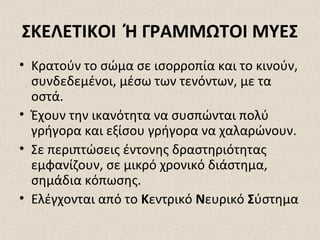 ΣΚΕΛΕΤΙΚΟΙ Ή ΓΡΑΜΜΩΤΟΙ ΜΥΕΣ
• Κρατούν το σώμα σε ισορροπία και το κινούν,
συνδεδεμένοι, μέσω των τενόντων, με τα
οστά.
• Έχουν την ικανότητα να συσπώνται πολύ
γρήγορα και εξίσου γρήγορα να χαλαρώνουν.
• Σε περιπτώσεις έντονης δραστηριότητας
εμφανίζουν, σε μικρό χρονικό διάστημα,
σημάδια κόπωσης.
• Ελέγχονται από το Κεντρικό Νευρικό Σύστημα

 